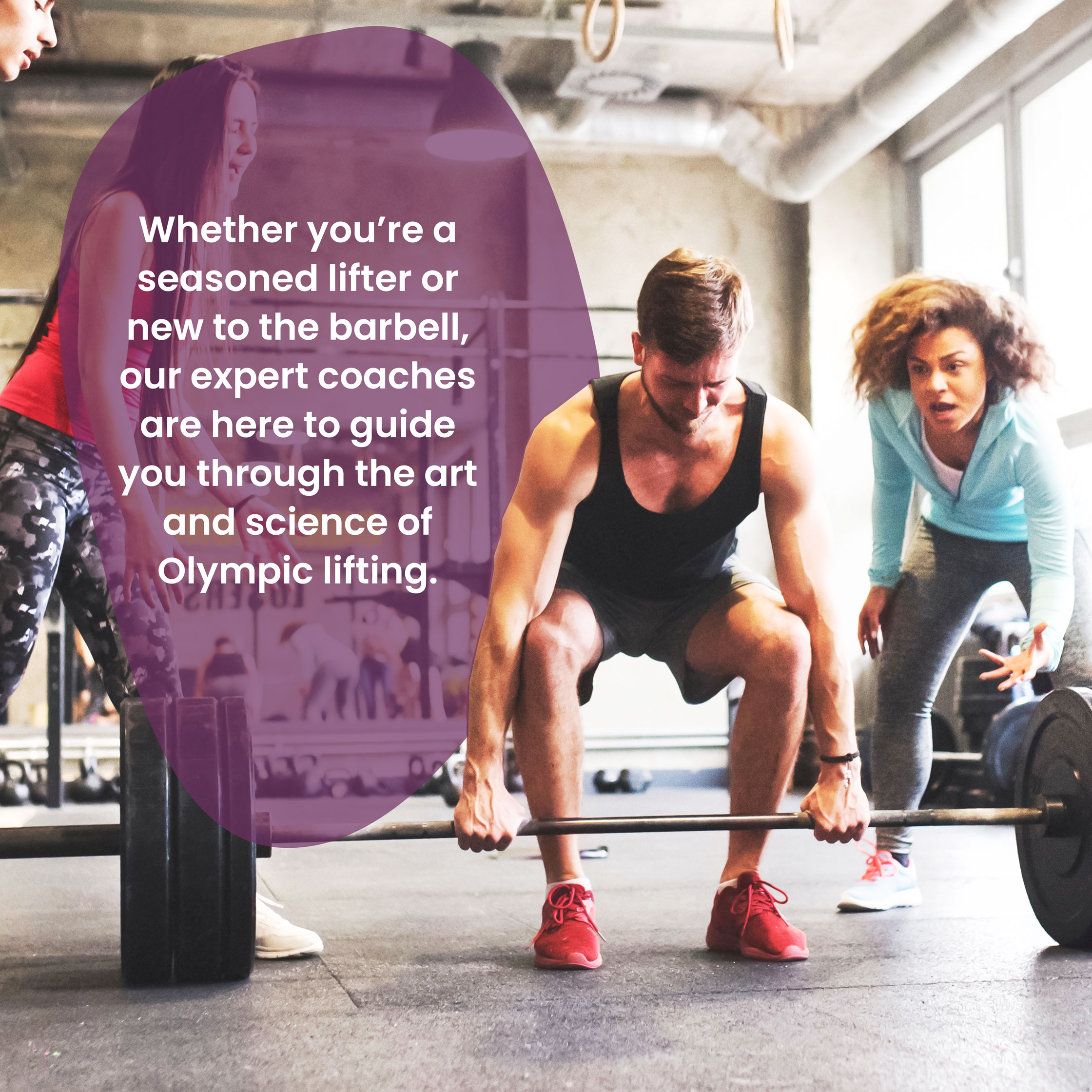 Check out the fully equipped Weights Gym today!